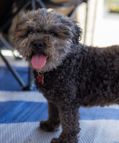 Charlie
