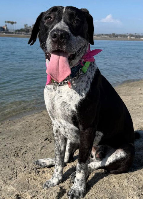 Tucker
