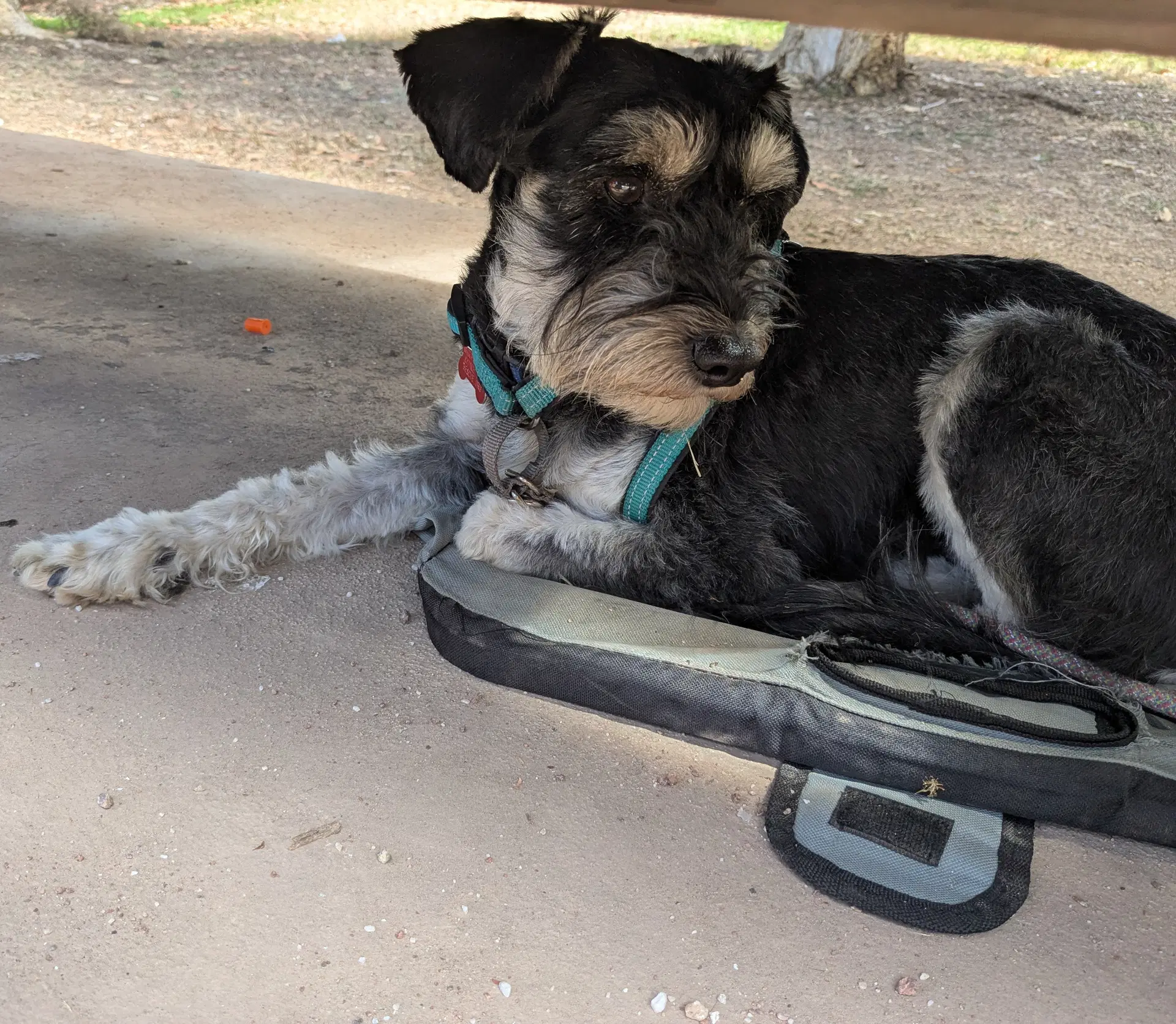 Chupo image 2
