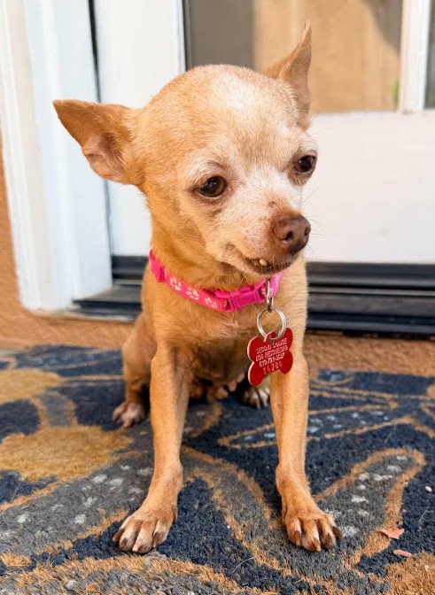 Chiquita photo 3