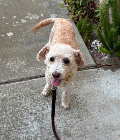 Bella photo 4