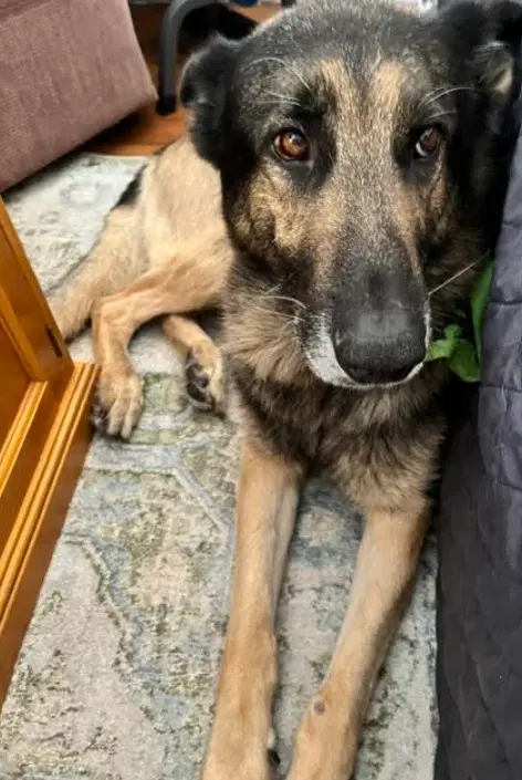 Theo image 3