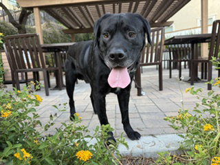 Wally, photo 2