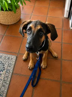 Buster image 3