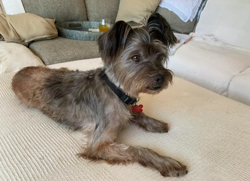 Tuggie image 3