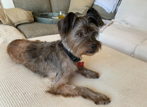 Photo 3 of Tuggie
