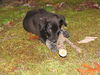 Maggie