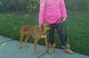 Payton