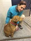 Butternut - Has an Adoptive Home