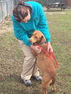 Butternut - Has an Adoptive Home
