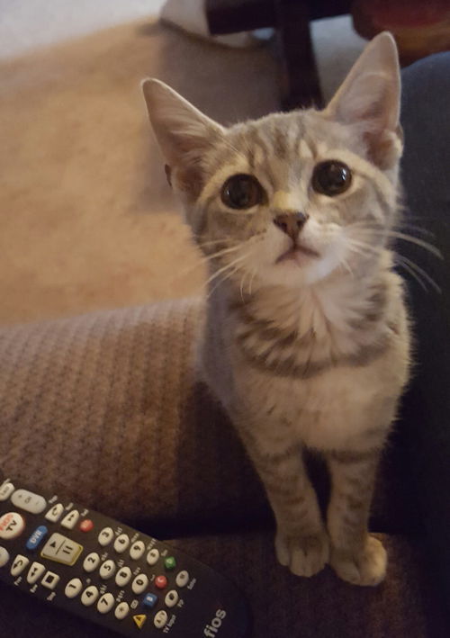 Maggie