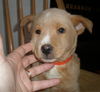Charlie