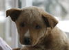 Charlie