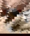 Winky
