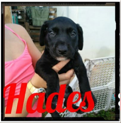 Hades