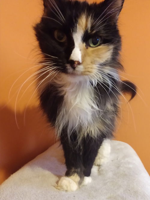 Winnie