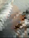 Chance