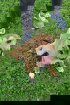 Annie