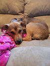 Annie