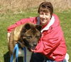 Gentle Ben