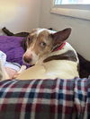 Misty - Most Beautiful Girl!