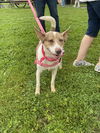 Misty - Most Beautiful Girl!