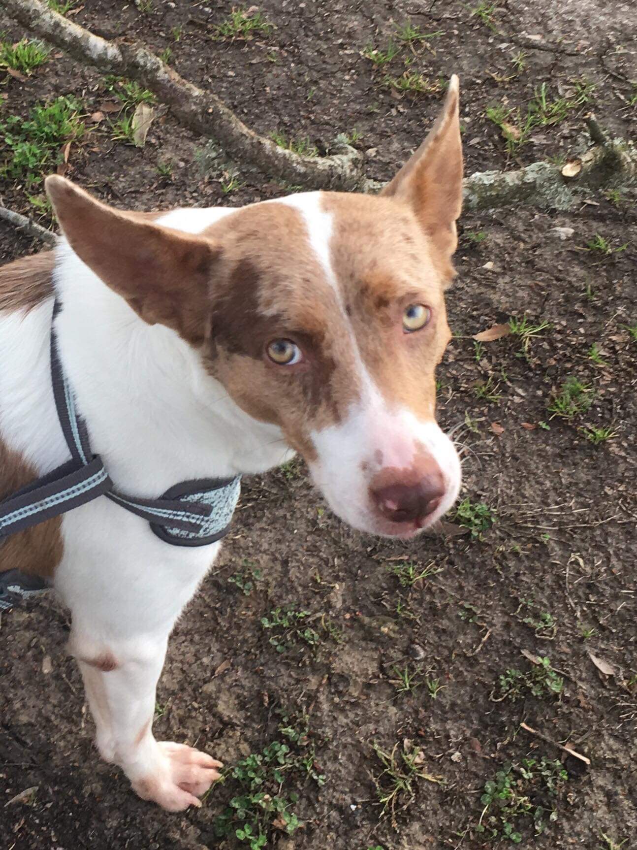 Misty - Most Beautiful Girl!