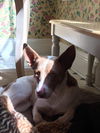 Misty - Most Beautiful Girl!