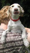 Sally