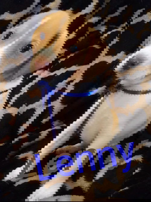 Lenny