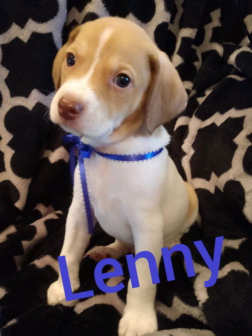 Lenny