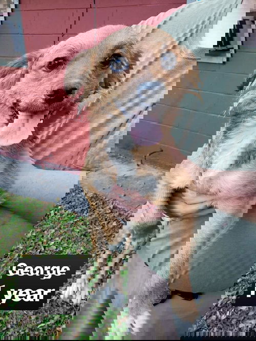 George