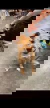 Winnie