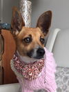 Lilly (JRT)