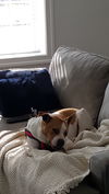 Penelope