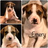 Emery aka Emory now Bristol