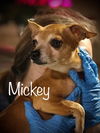 Mickey - Mighty friend!