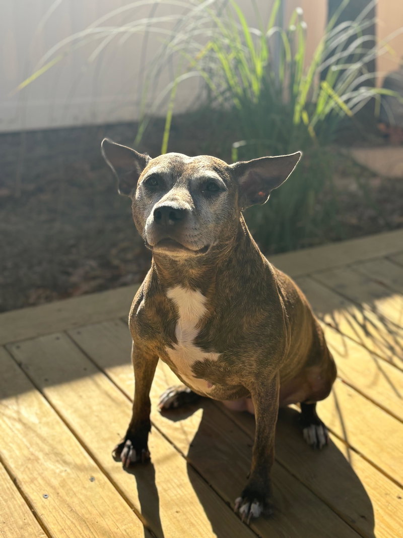Bluebird – Beautiful Girl!