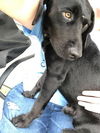 Jack