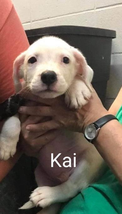 Kai(now Wrigley)