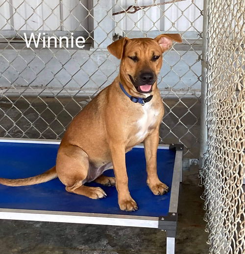 Winnie now Cassie