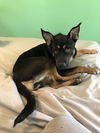Jane aka Janey - Available!