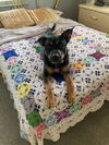Jane aka Janey - Available!