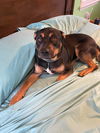 Jane aka Janey - Available!