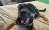 Jane aka Janey - Available!