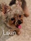 Laken