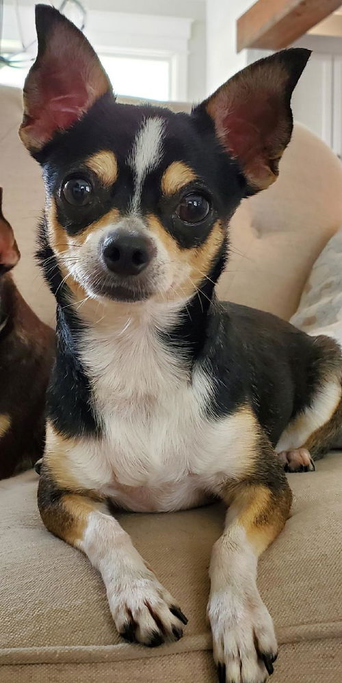 Maggie