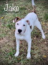 Jake
