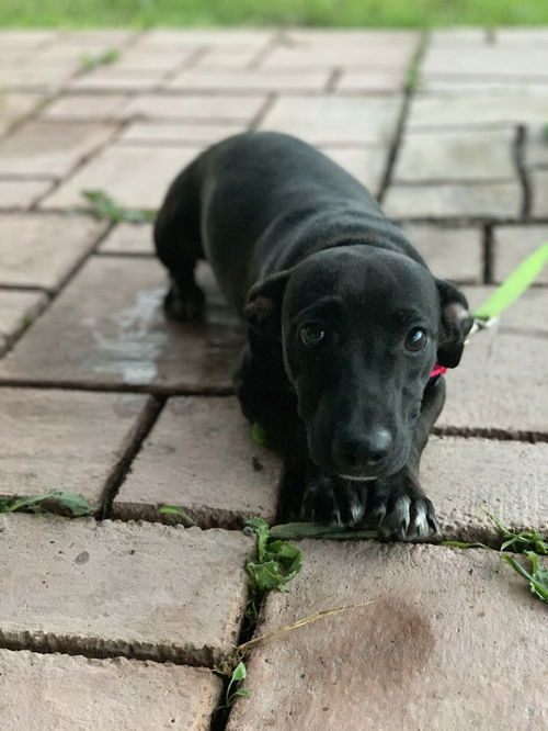 Winston