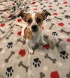 Mandy - No More Applications Please!!